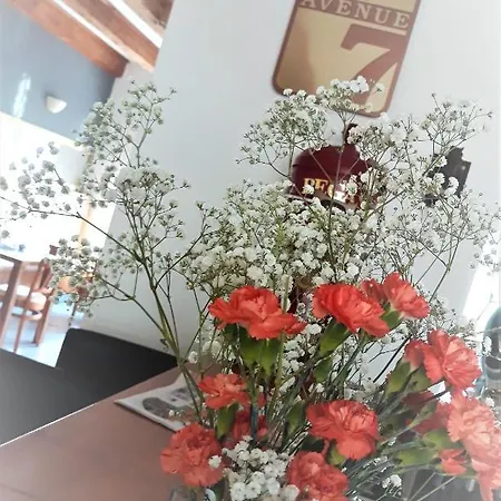 בית הארחה A 7 - Avenue 7 פרשוב